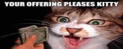 PleasedKitty